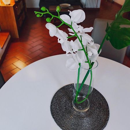 Borgo Pinti 49 Lejlighed Firenze Eksteriør billede