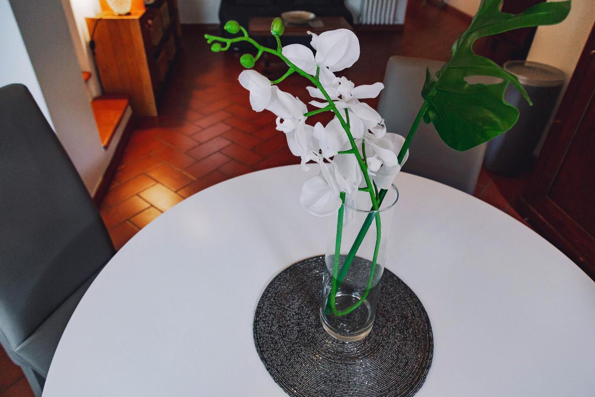 Borgo Pinti 49 Lejlighed Firenze Eksteriør billede